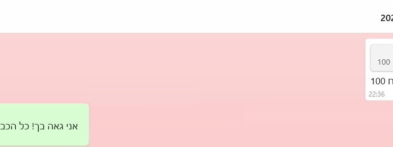 ‏‏2 - עותק (12)